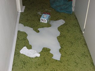 Bílá 
mapa na podlaze z roztržené krabic mléka
