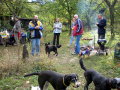 Kuřata na grilu a úsměvy ve tvářích